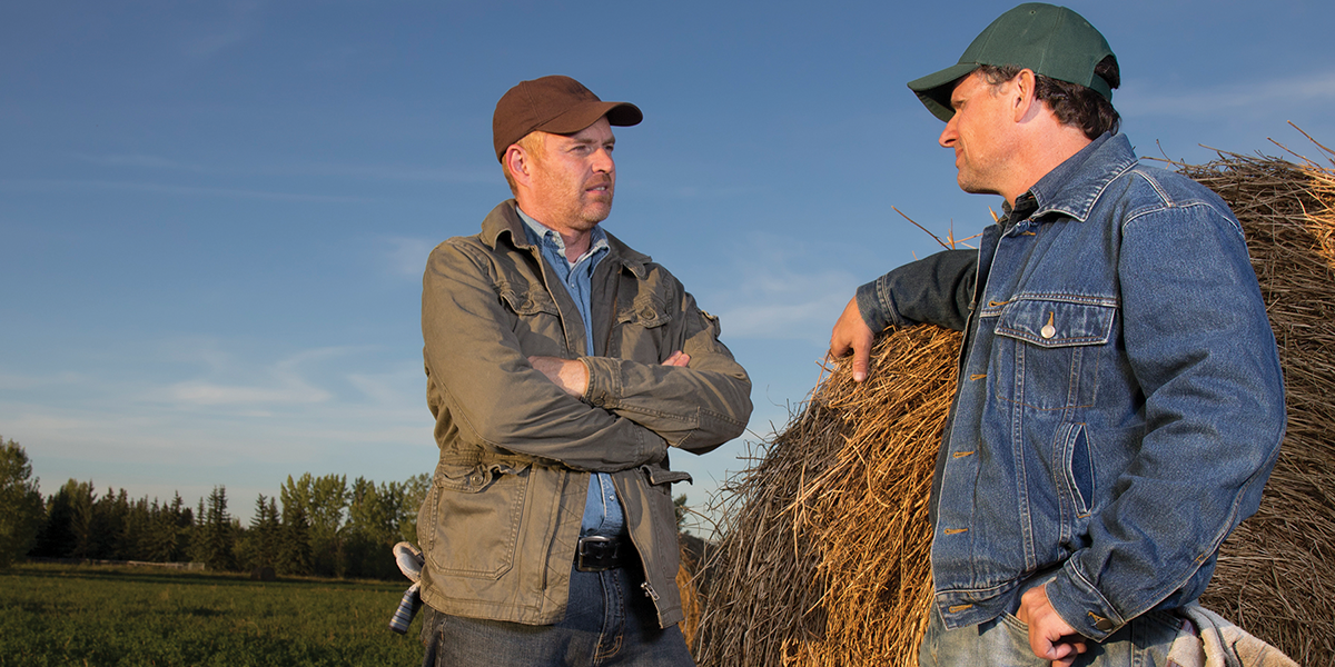 Farmer and a Flaman Rental Dealer in the field talking